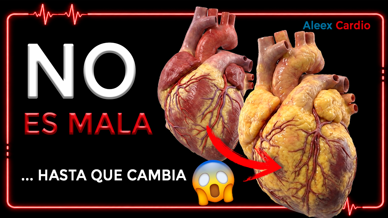 Grasa alrededor del corazón: ¿es normal tenerla?